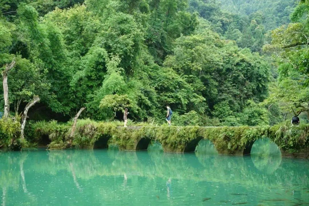 夏日时尚的爱丽
